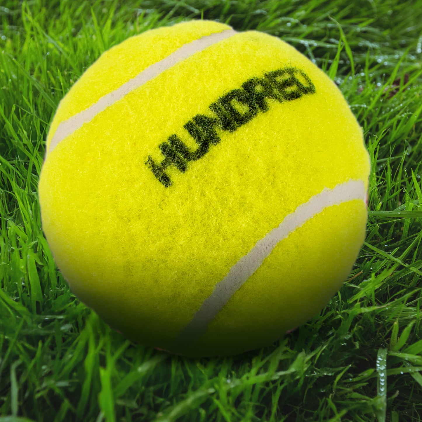 The Hundred Size 4 Jumbo Bat and Tennis Ball