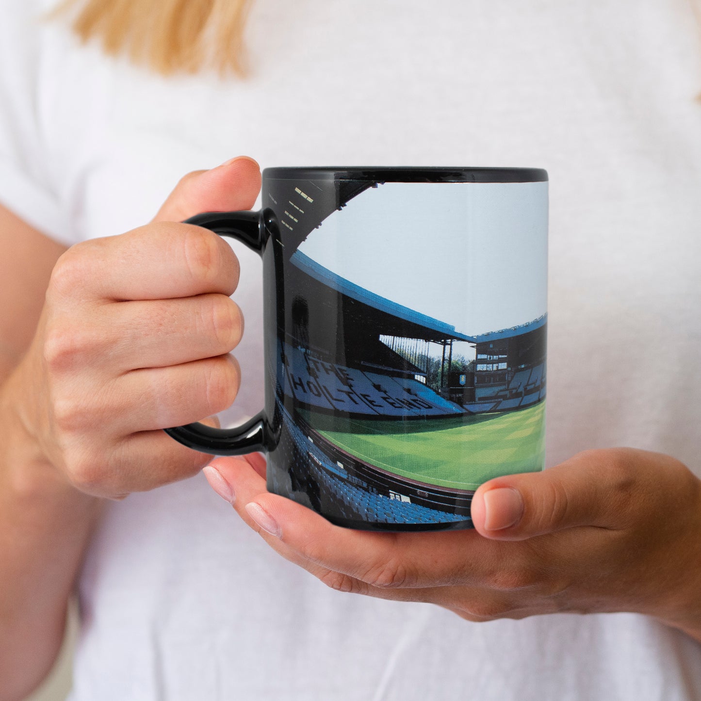 Hy-Pro Aston Villa Stadium Mug