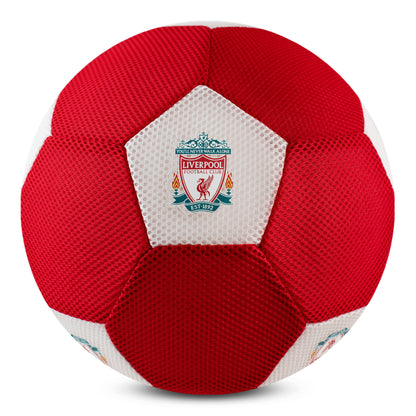 Liverpool 14 inch Mesh Ball