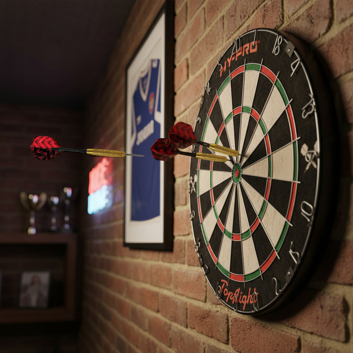Hy-Pro Topflight Dartboard Set