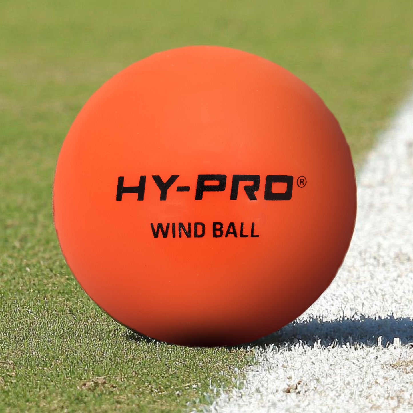 Hy-Pro Windball
